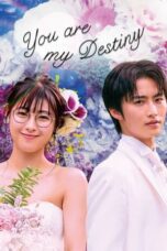 Drama Jepang Unmei Kara Hajimaru Koi: You Are My Destiny (2020)