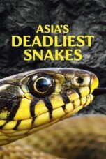Asia s Deadliest Snakes 2010 Subtitle Indonesia