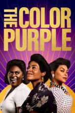 The Color Purple (2024)