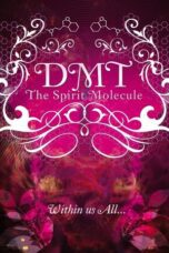 DMT The Spirit Molecule 2010 Subtitle Indonesia