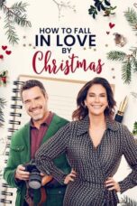 How to Fall in Love by Christmas 2023 Subtitle Indonesia